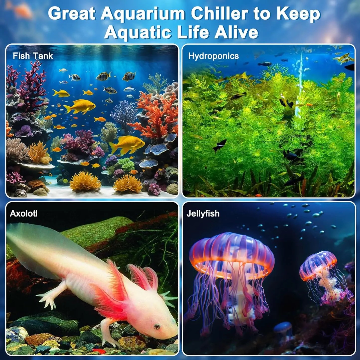 SHICUO Aquarium Chiller Fish Tank Cooling System With Pump