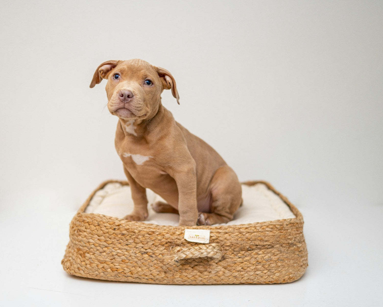 Beds & Crates