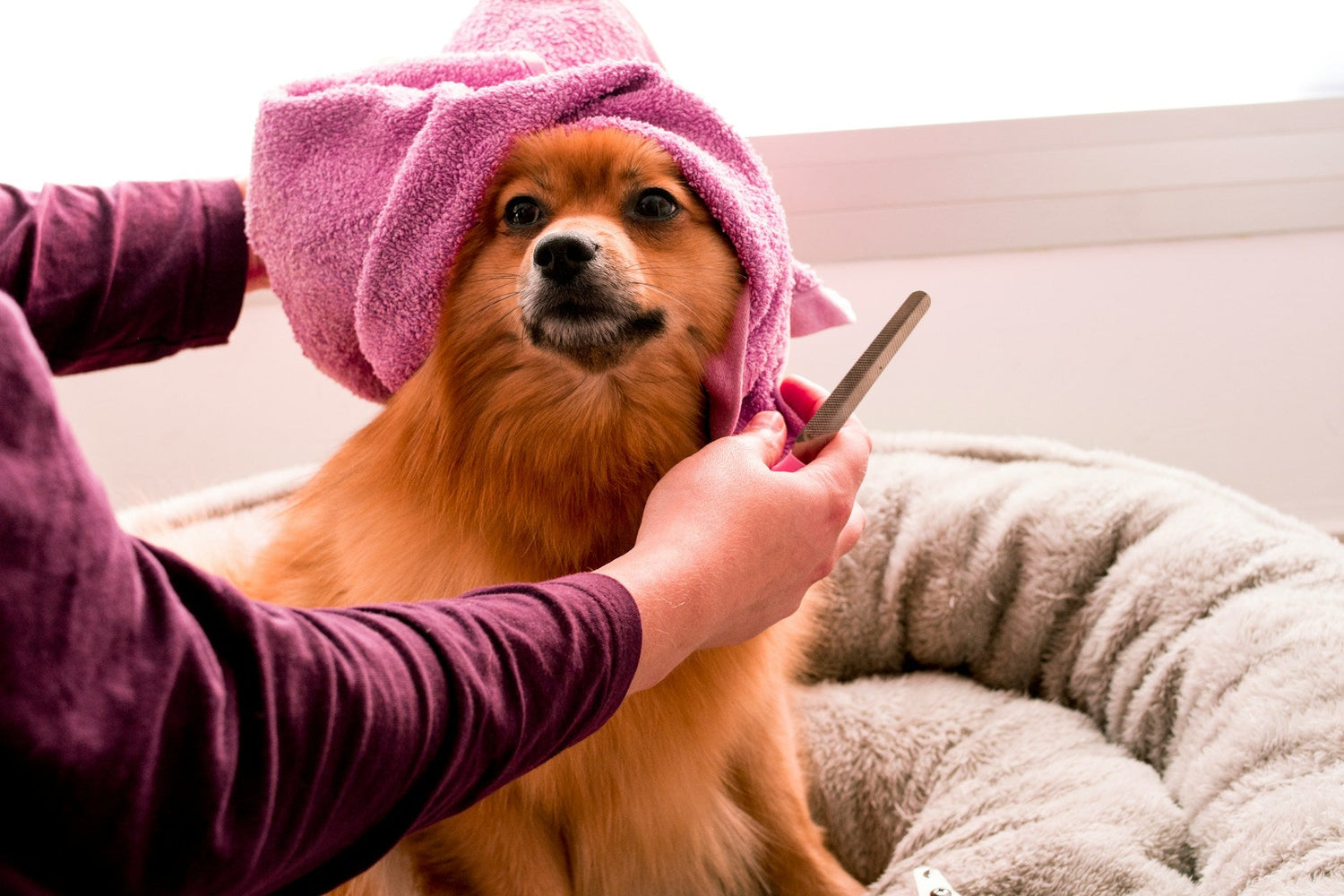 Grooming Tools