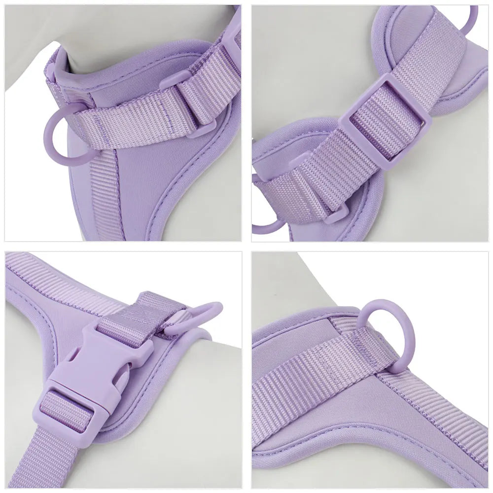 Piang Gouer Breathable Lightweight Dog Harness for Walking and Training