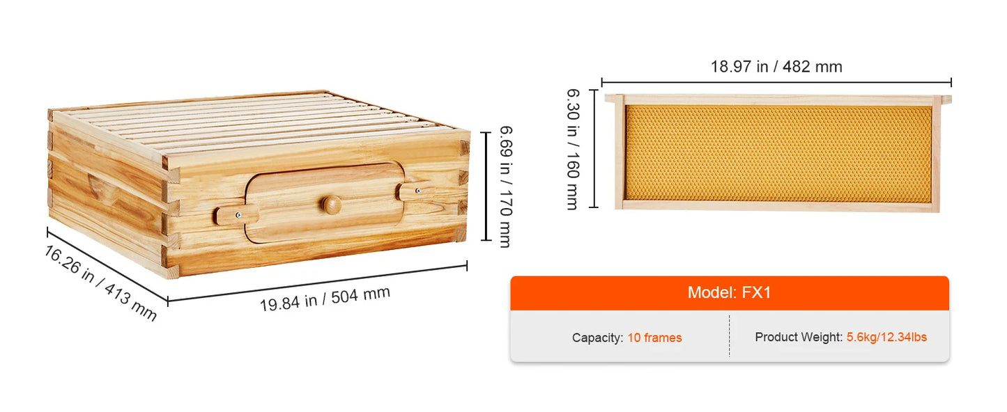 SucceBuy Natural Cedar Langstroth Beehive Kit With Acrylic Windows