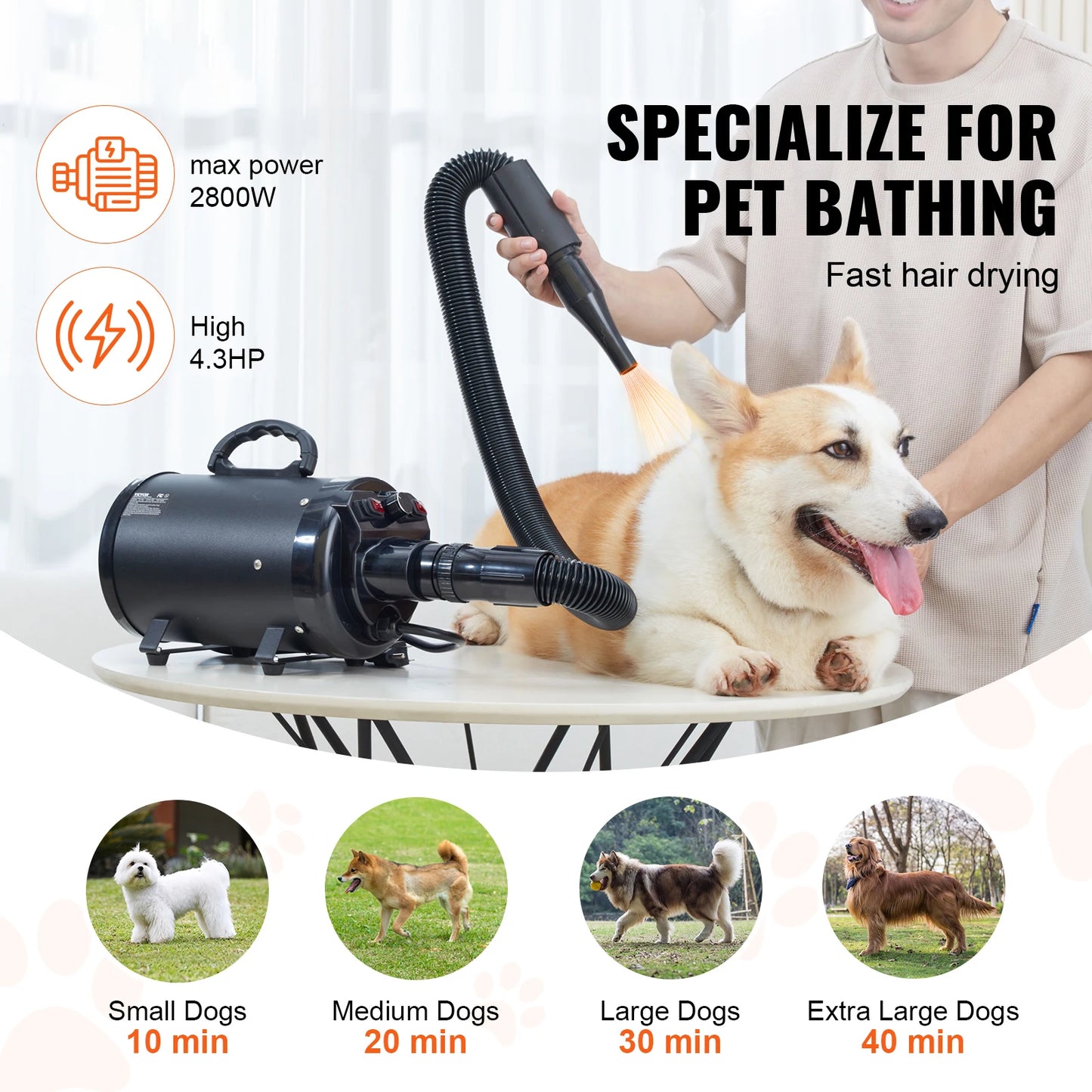 SucceBuy 2000W Dog Blow Dryer Adjustable Speed With 4 Nozzles
