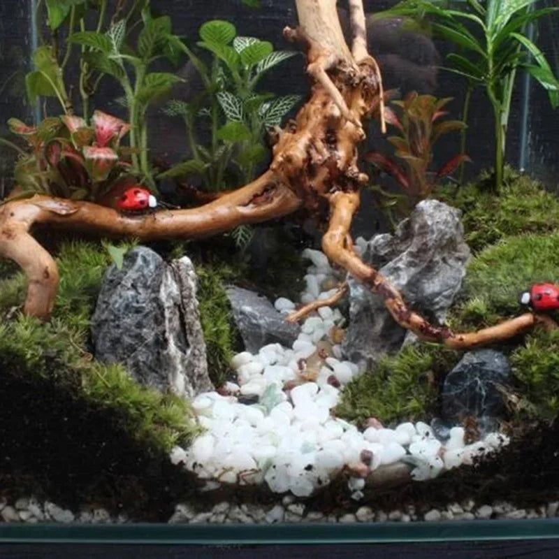 Natural Tree Trunk Driftwood Aquarium Ornament Wood Decoration