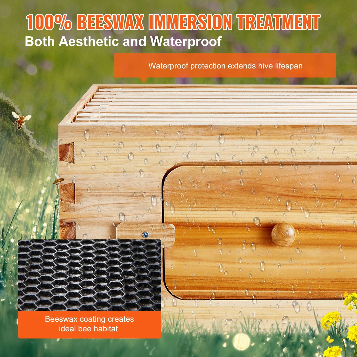 SucceBuy Natural Cedar Langstroth Beehive Kit With Acrylic Windows