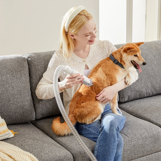 Pet Grooming Vacuum Kit 3 Suction Modes And Cordless Clippers
