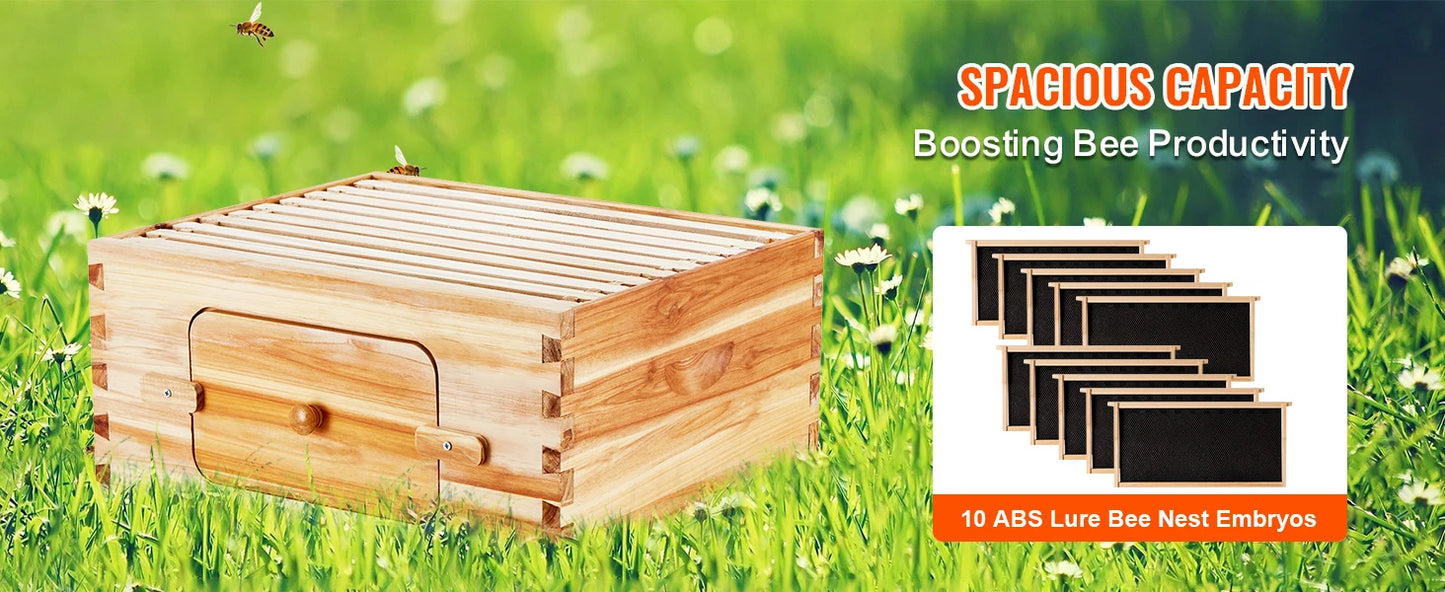 SucceBuy Natural Cedar Langstroth Beehive Kit With Acrylic Windows