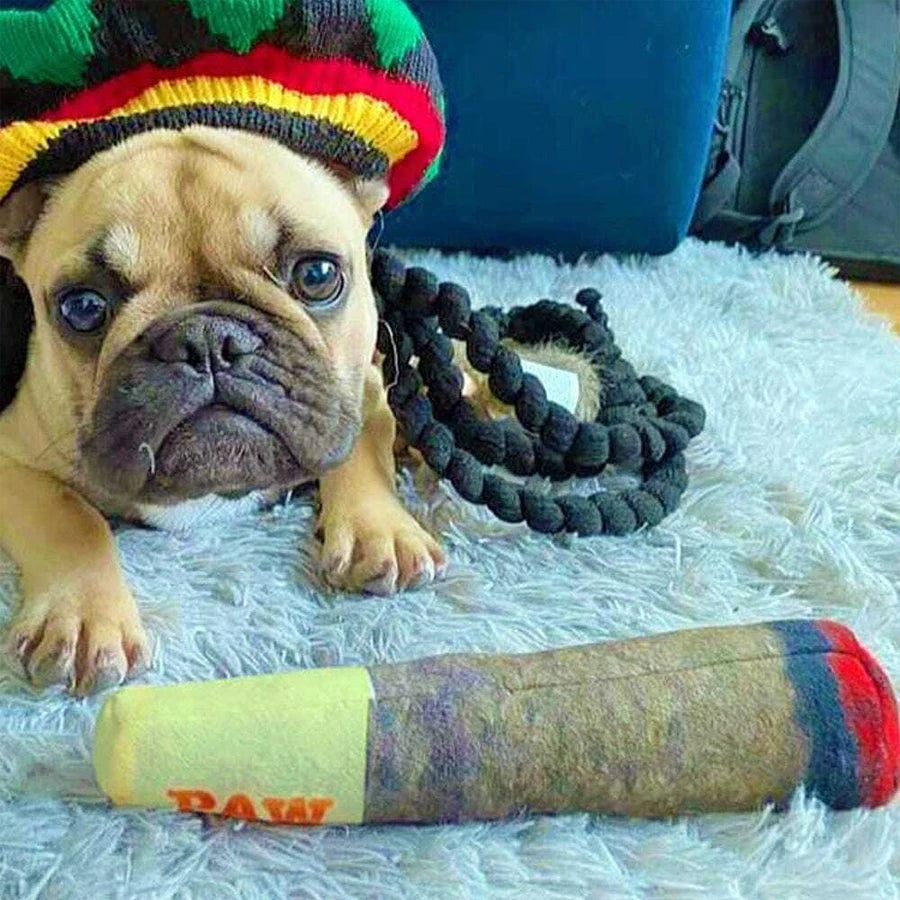Cigar Design Plush Squeaky Interactive Dog Chew Toy
