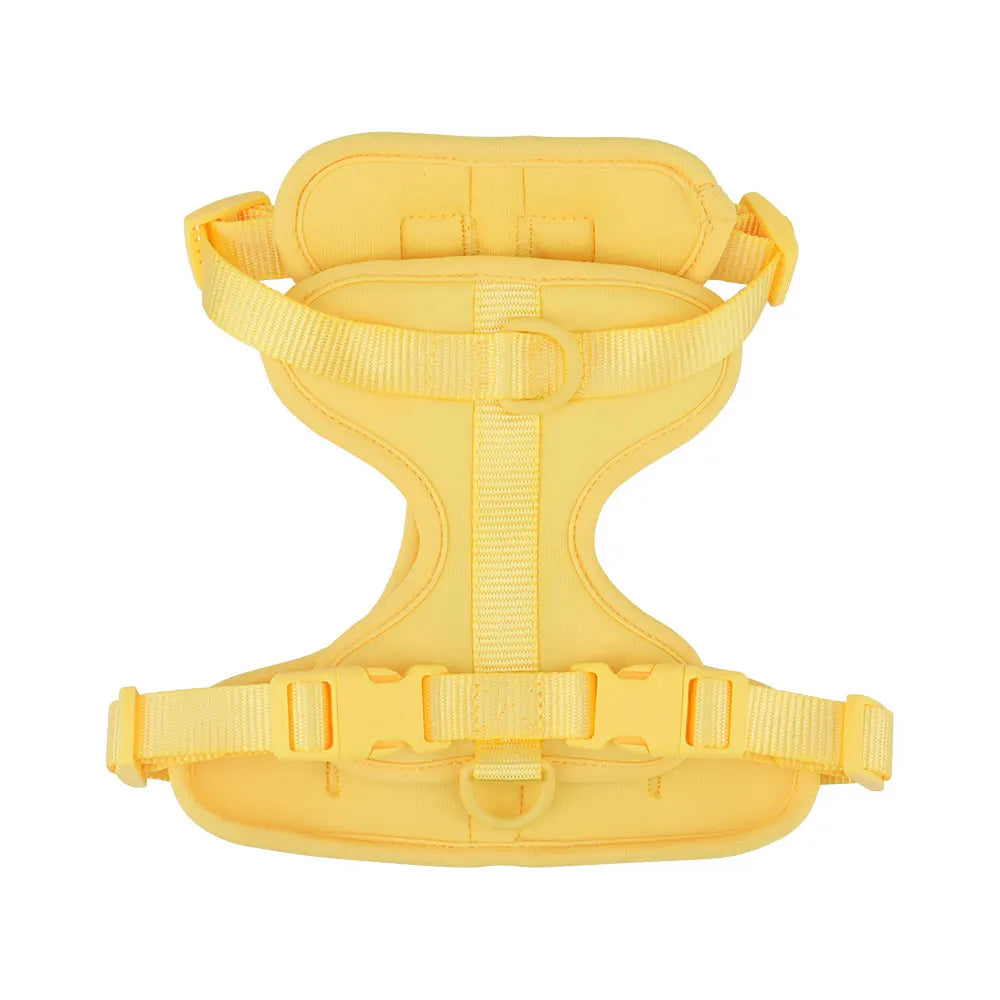 Piang Gouer Breathable Lightweight Dog Harness for Walking and Training
