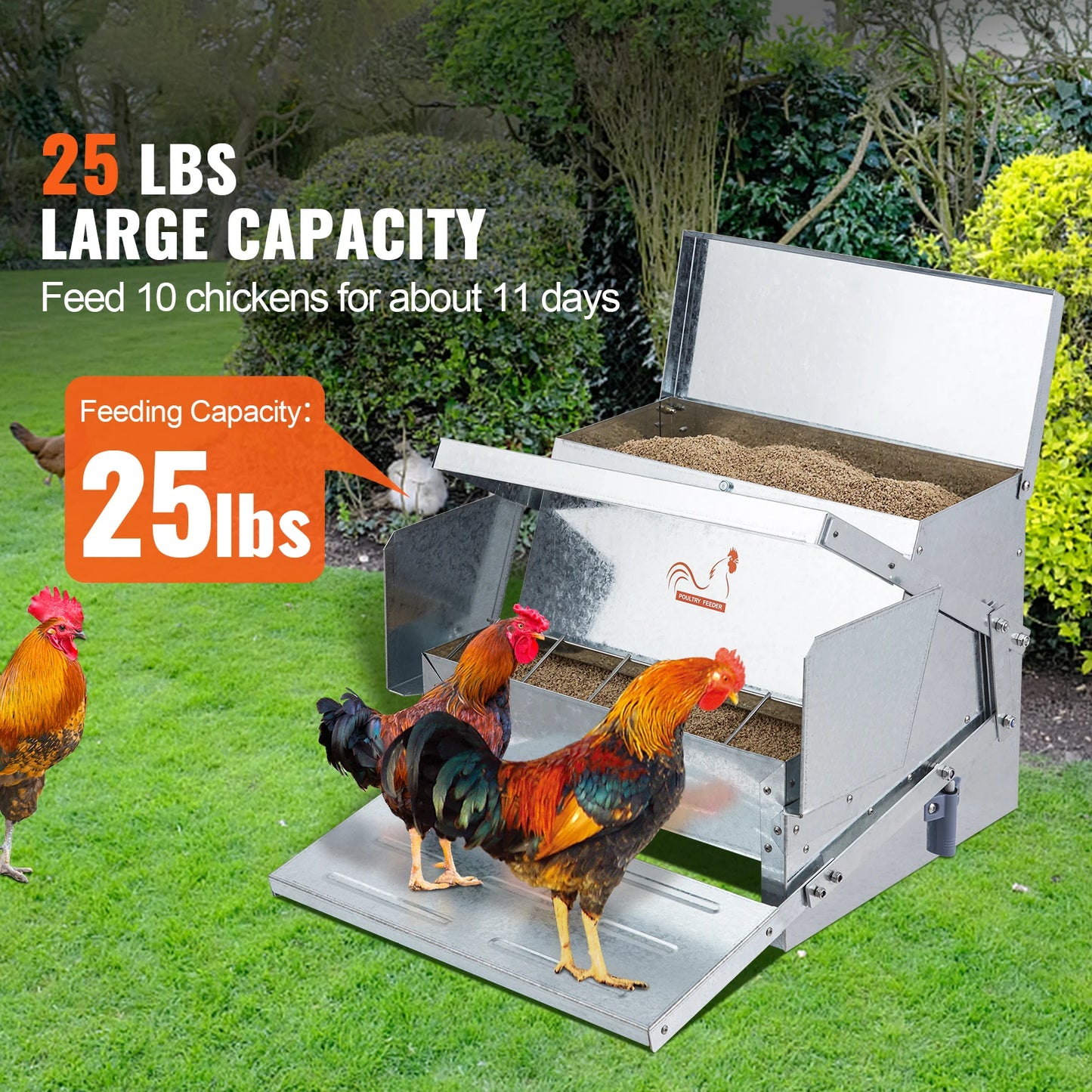 SucceBuy Automatic Chicken Feeder For Small Backyard Poultry