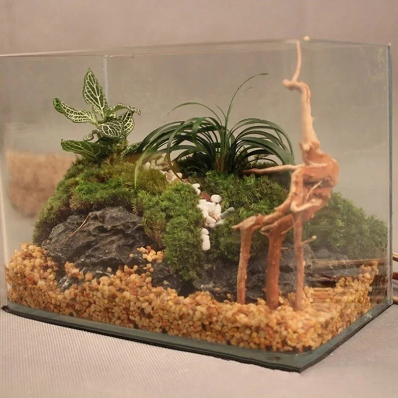 Natural Tree Trunk Driftwood Aquarium Ornament Wood Decoration