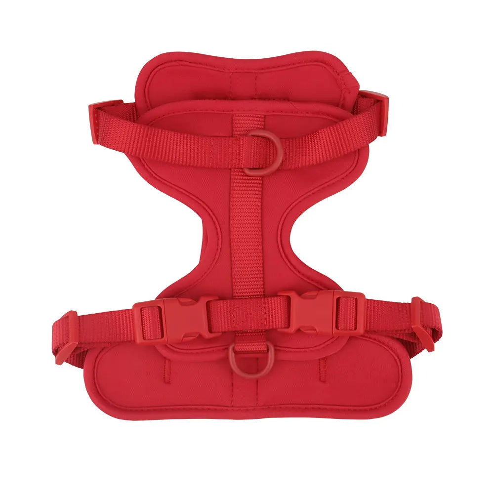 Piang Gouer Breathable Lightweight Dog Harness for Walking and Training