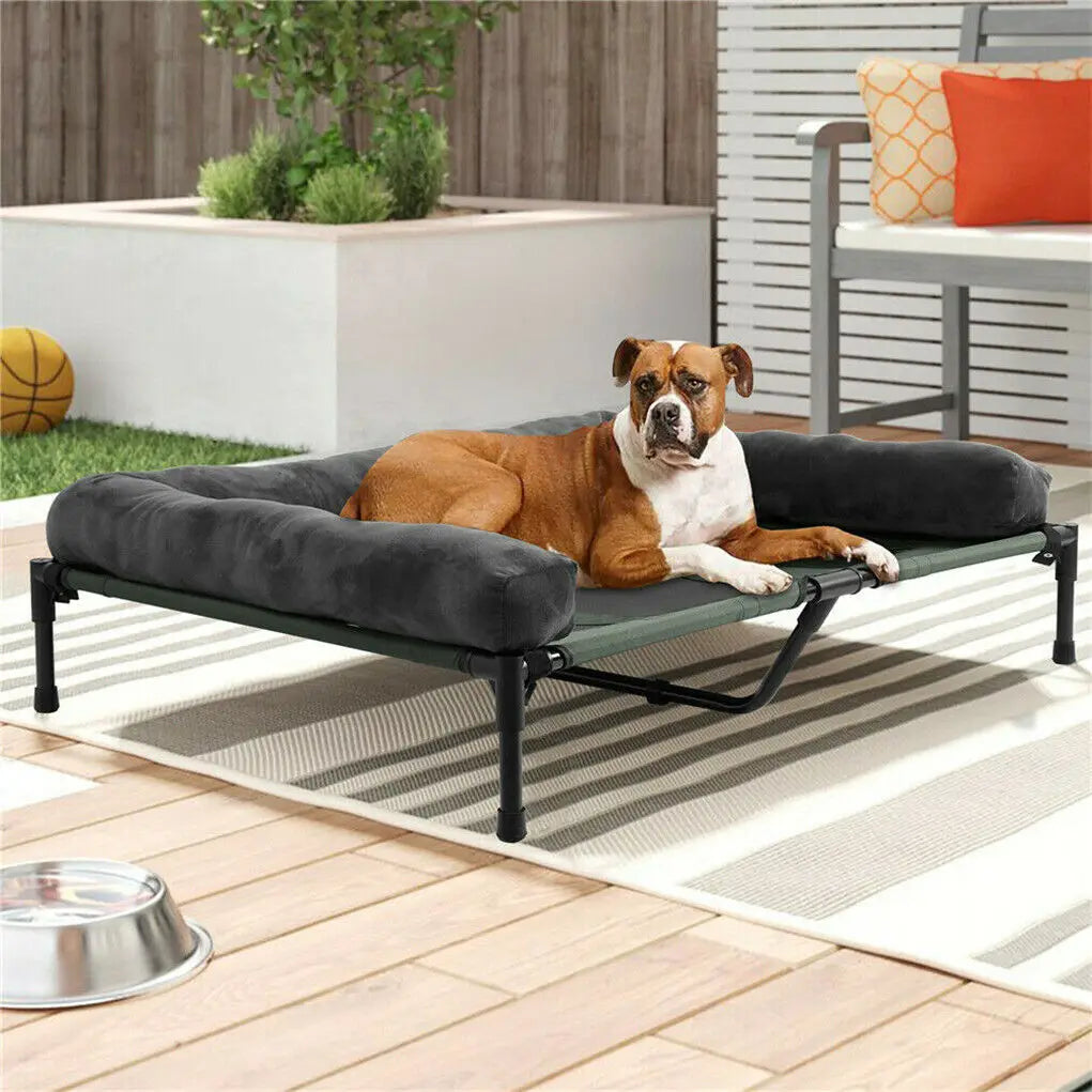 BINGOPAW Elevated Pet Lounger Bed For Dogs And Cats Indoor Outdoor