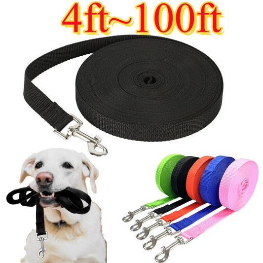 Nylon Dog Leash For All Dogs Training And Outdoor Use