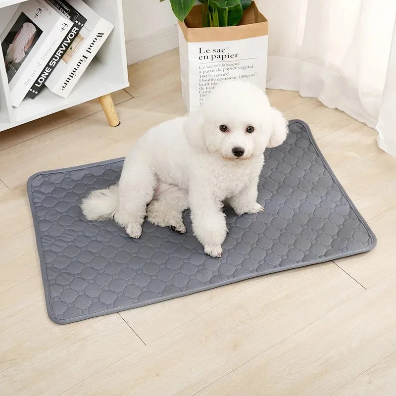 Reusable Dog Pee Pad Blanket Absorbent Training Pad For Pets