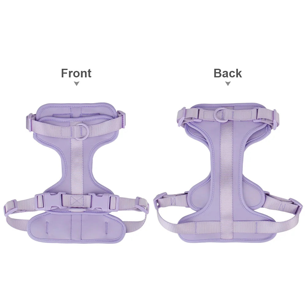Piang Gouer Breathable Lightweight Dog Harness for Walking and Training
