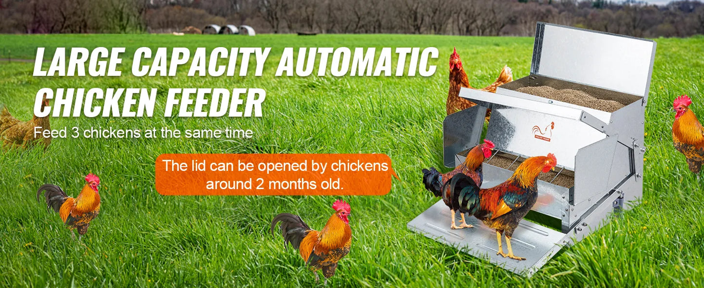 SucceBuy Automatic Chicken Feeder For Small Backyard Poultry