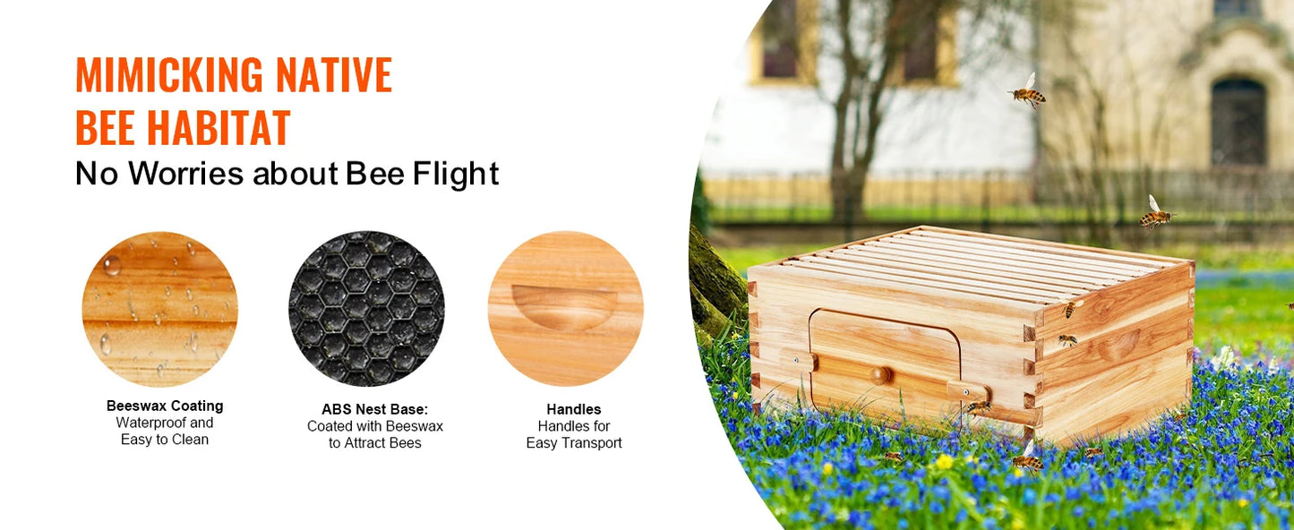 SucceBuy Natural Cedar Langstroth Beehive Kit With Acrylic Windows