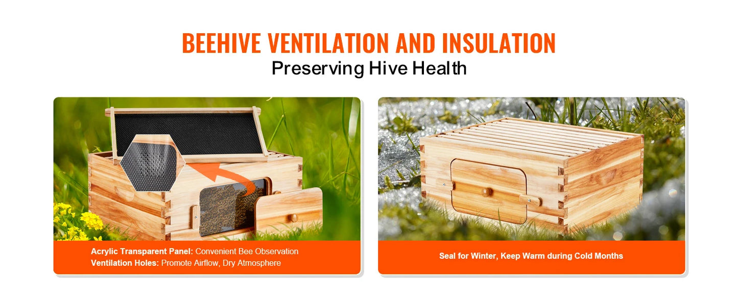 SucceBuy Natural Cedar Langstroth Beehive Kit With Acrylic Windows