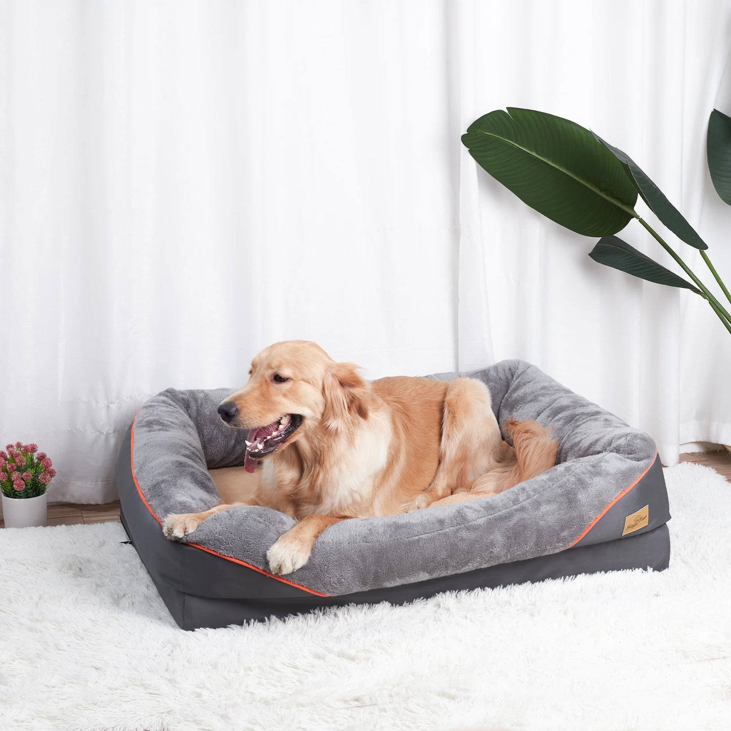 BINGOPAW Dog Bed With Removable Washable Cover Anti Allergy