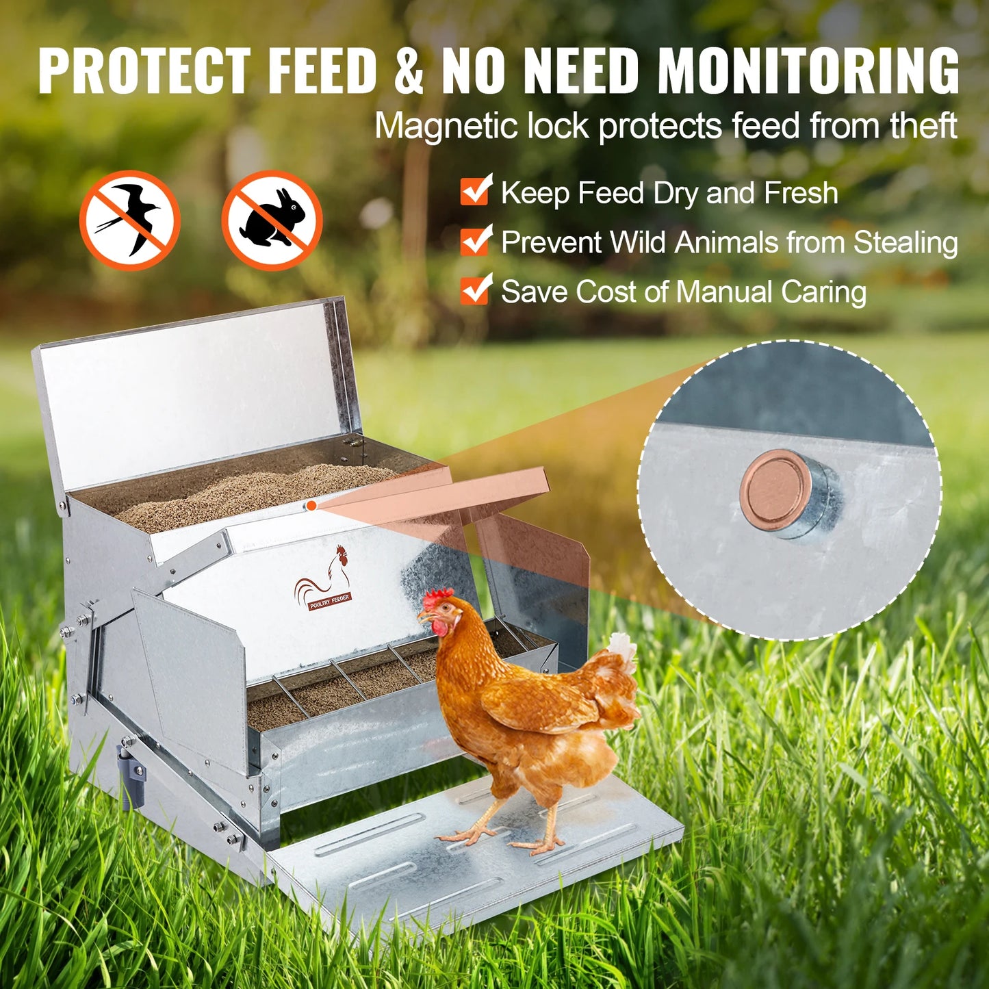 SucceBuy Automatic Chicken Feeder For Small Backyard Poultry