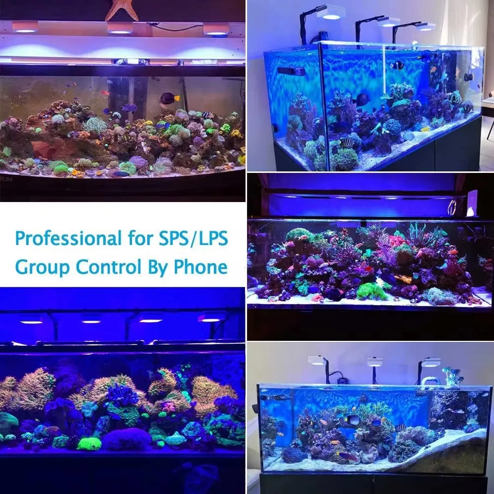 PopBloom RL90 WiFi Aquarium Light Full Spectrum For Reef Tanks