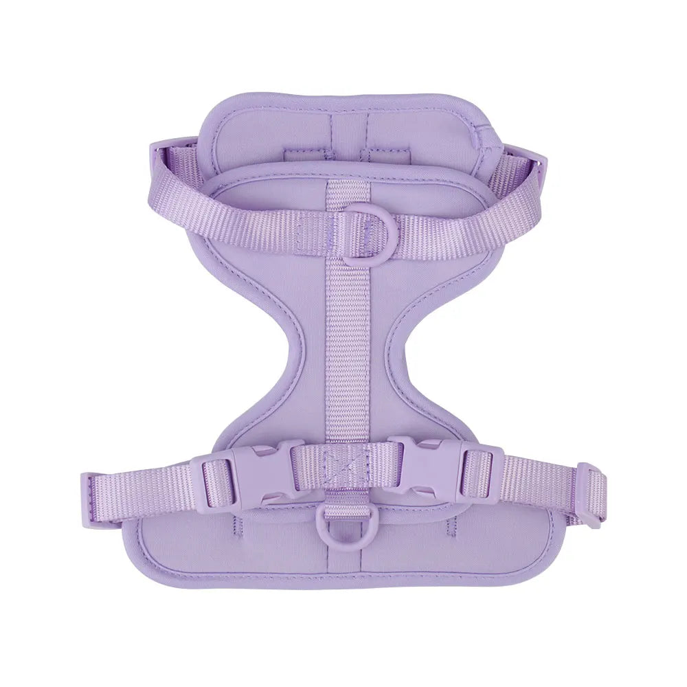 Piang Gouer Breathable Lightweight Dog Harness for Walking and Training