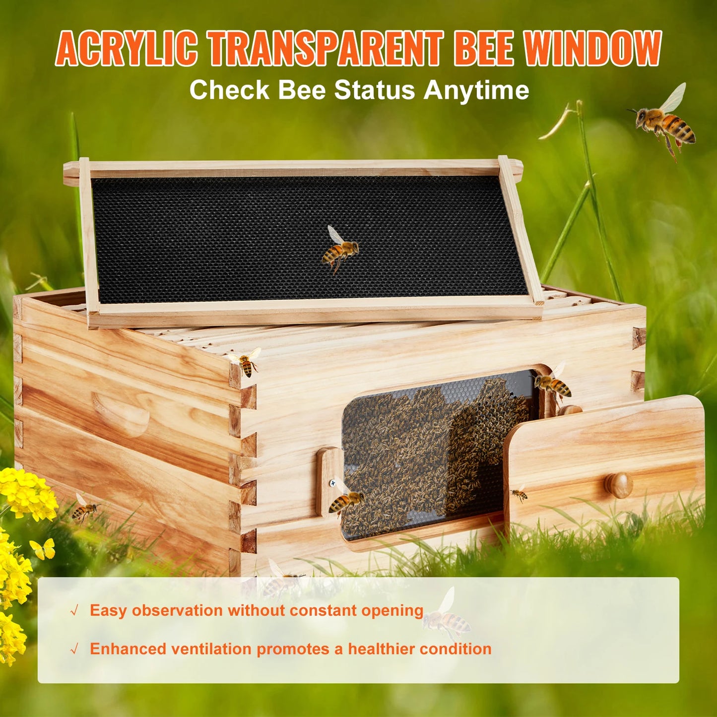 SucceBuy Natural Cedar Langstroth Beehive Kit With Acrylic Windows