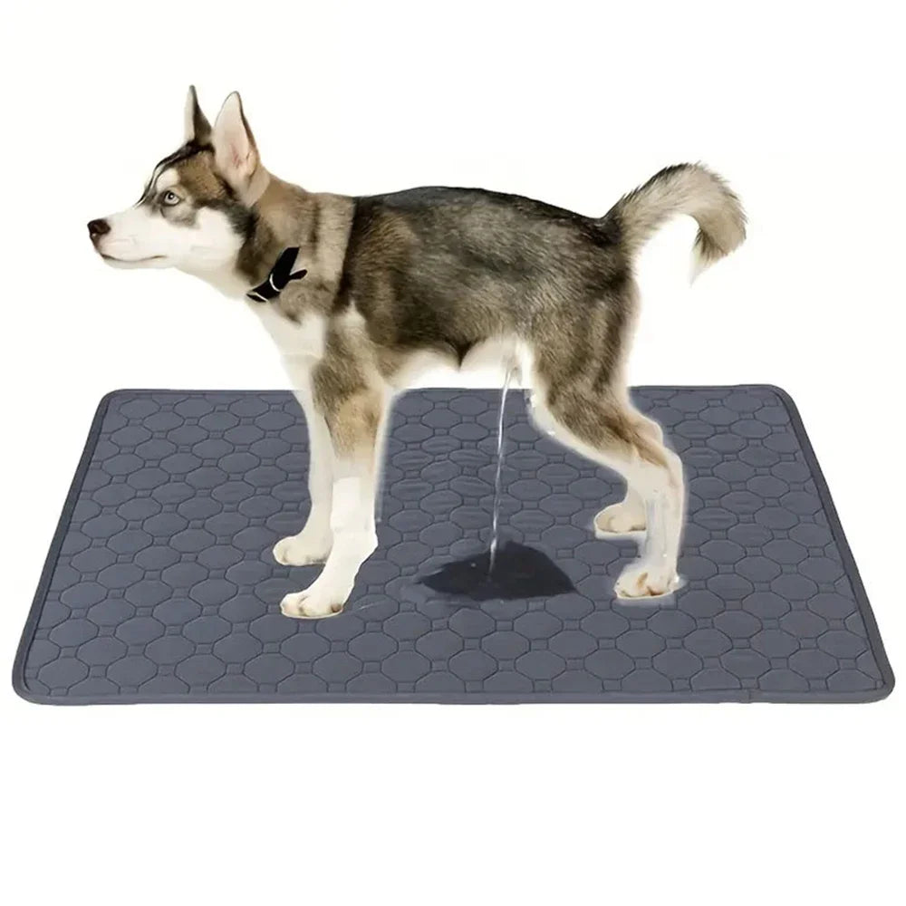Reusable Dog Pee Pad Blanket Absorbent Training Pad For Pets